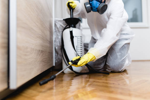 Best Emergency Pest Control  in South Fallsburg, NY