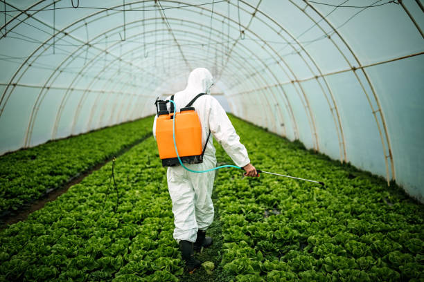Best Pest Control Near Me  in South Fallsburg, NY