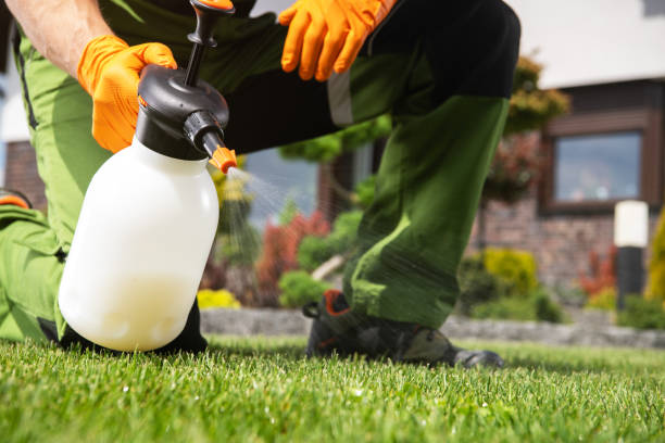 Professional Pest Control in South Fallsburg, NY