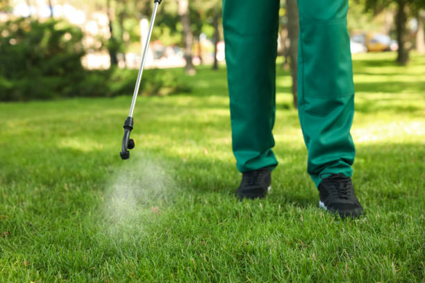 Best Local Pest Control Services  in South Fallsburg, NY