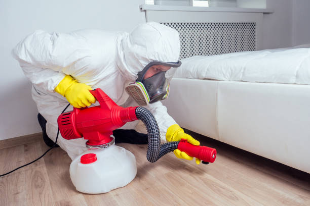 Best Rat Extermination Near Me  in South Fallsburg, NY