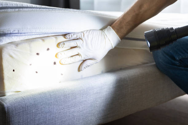 Best Best Pest Control Companies  in South Fallsburg, NY
