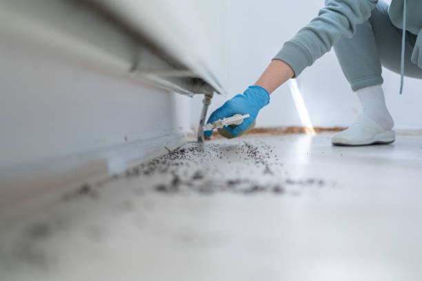 Best Residential Pest Control  in South Fallsburg, NY